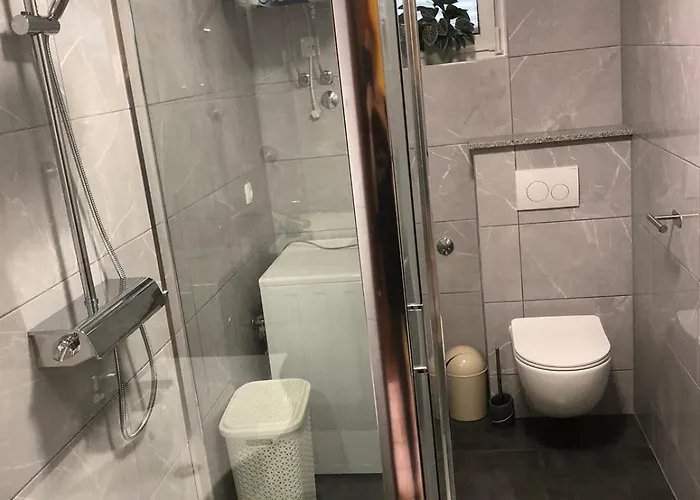 Apartman Grubelic Prvic Sepurine